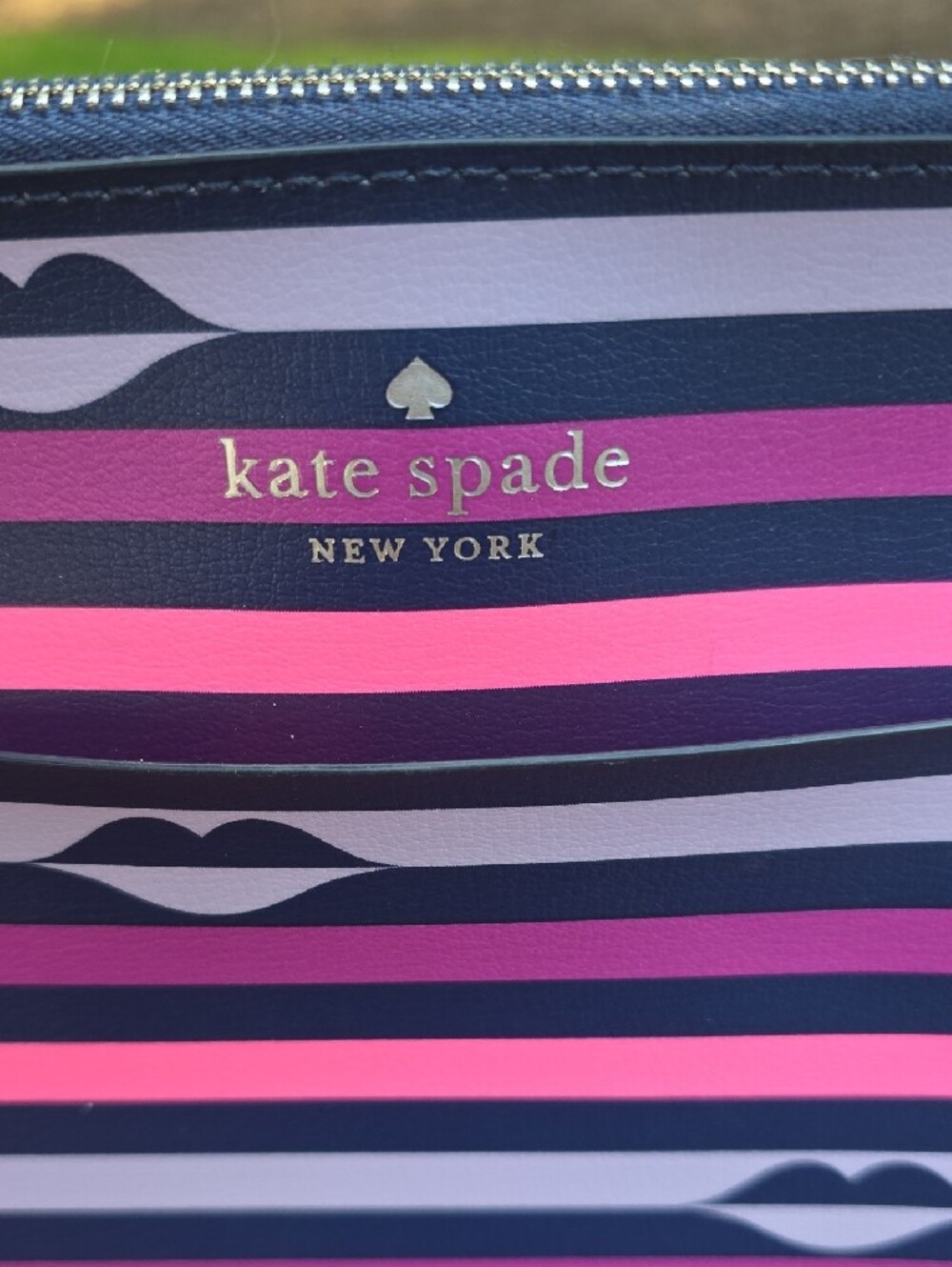 kate spade Patrice Lips Striped Crossbody Tote - Picture 2 of 10